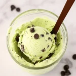 Creamy Mint Chocolate Chip Protein Ice Cream You’ll Crave 6 Mint Chocolate Chip Protein Ice Cream